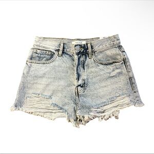 NWT Pacsun Vintage High Rise Shorts Women's Size 27 Button Fly